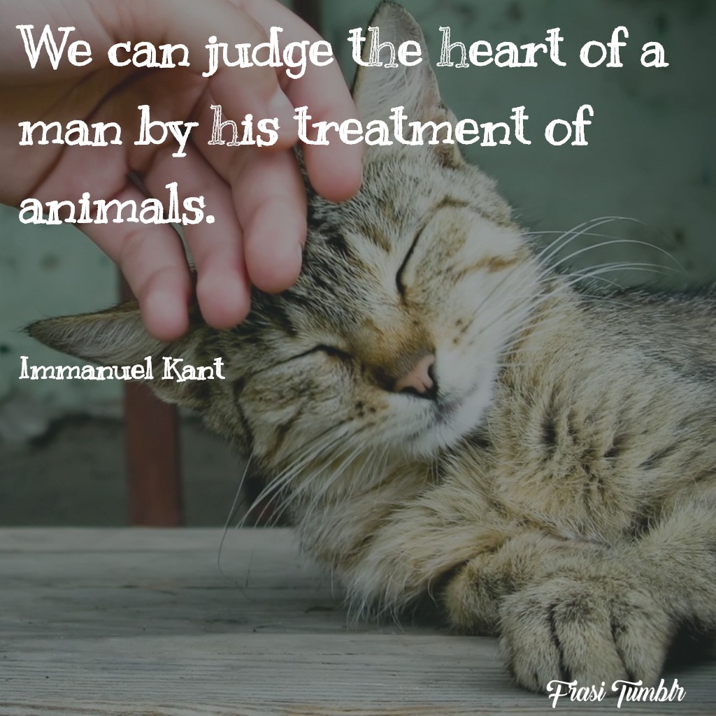 frasi-animali-inglese-giudicare-cuore-uomo-tratta-animali