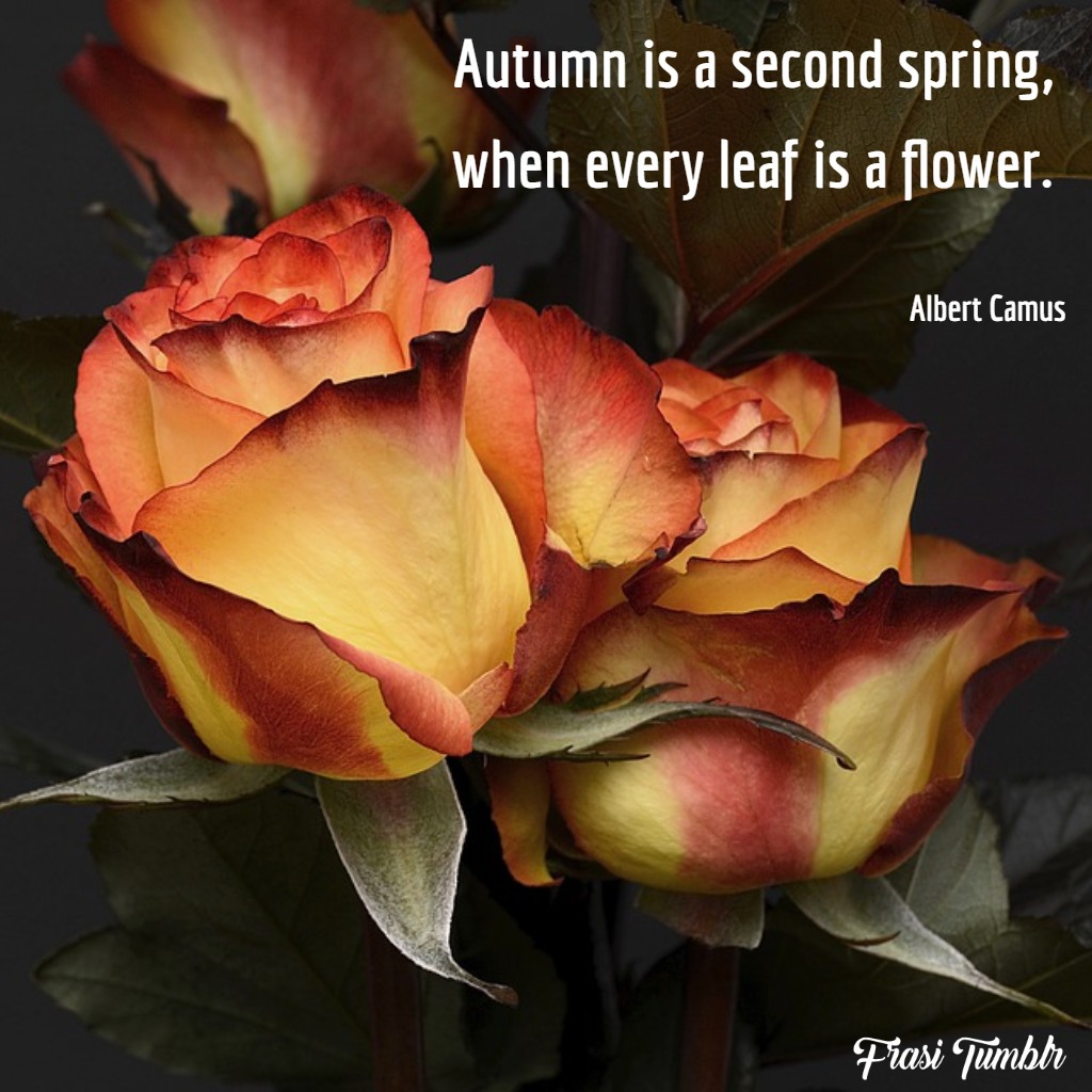 frasi-autunno-inglese-seconda-primavera-fiori