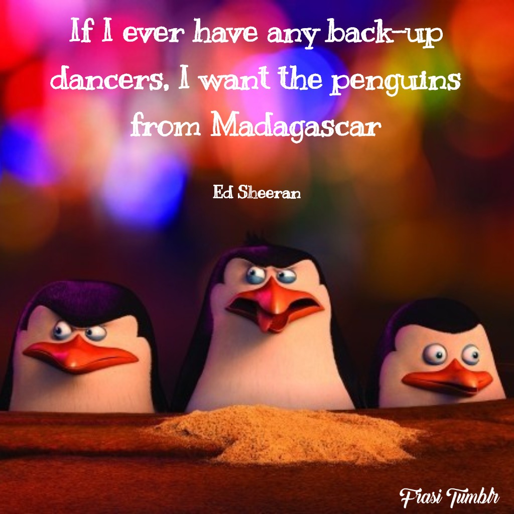 frasi-canzoni-ed-sheeran-pinguini-madagascar