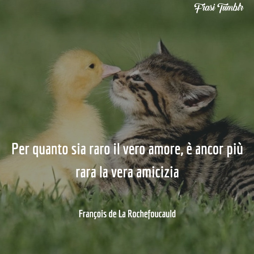 Frasi Tumblr Amicizia Le 50 Migliori Da Dedicare A Un Amica O Un Amico