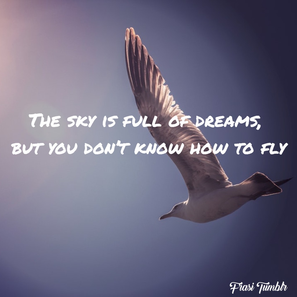 frasi-cielo-inglese-volare