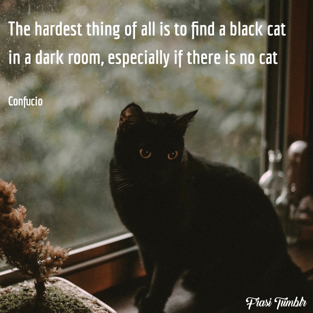 frasi-confucio-inglese-traduzione-gatto-nero