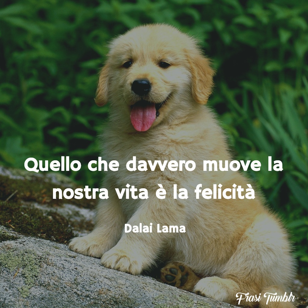 Frasi Del Dalai Lama Sulla Vita L Amore E Il Rispetto I 40 Aforismi Piu Belli