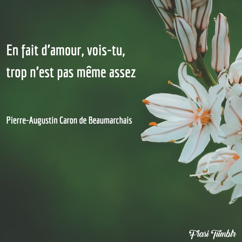 Frasi d'Amore in Francese (con traduzione): le 60 più Belle