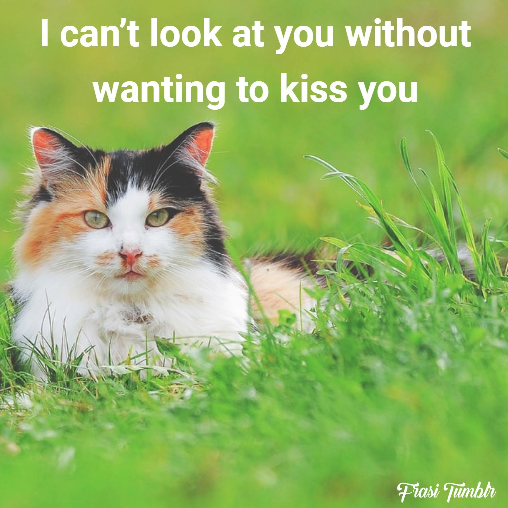 frasi-dolci-inglese-baciarti-guardarti