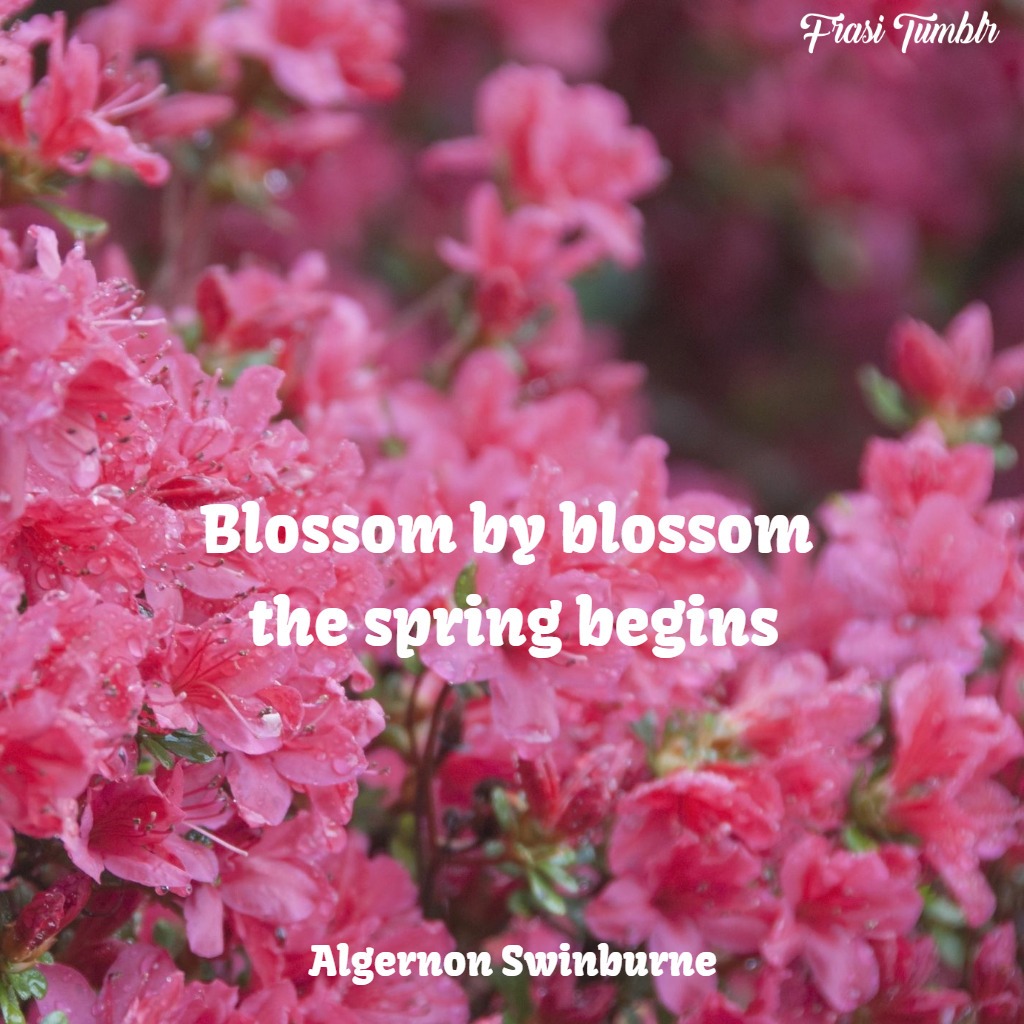 frasi-fiori-inglese-primavera-bellezza
