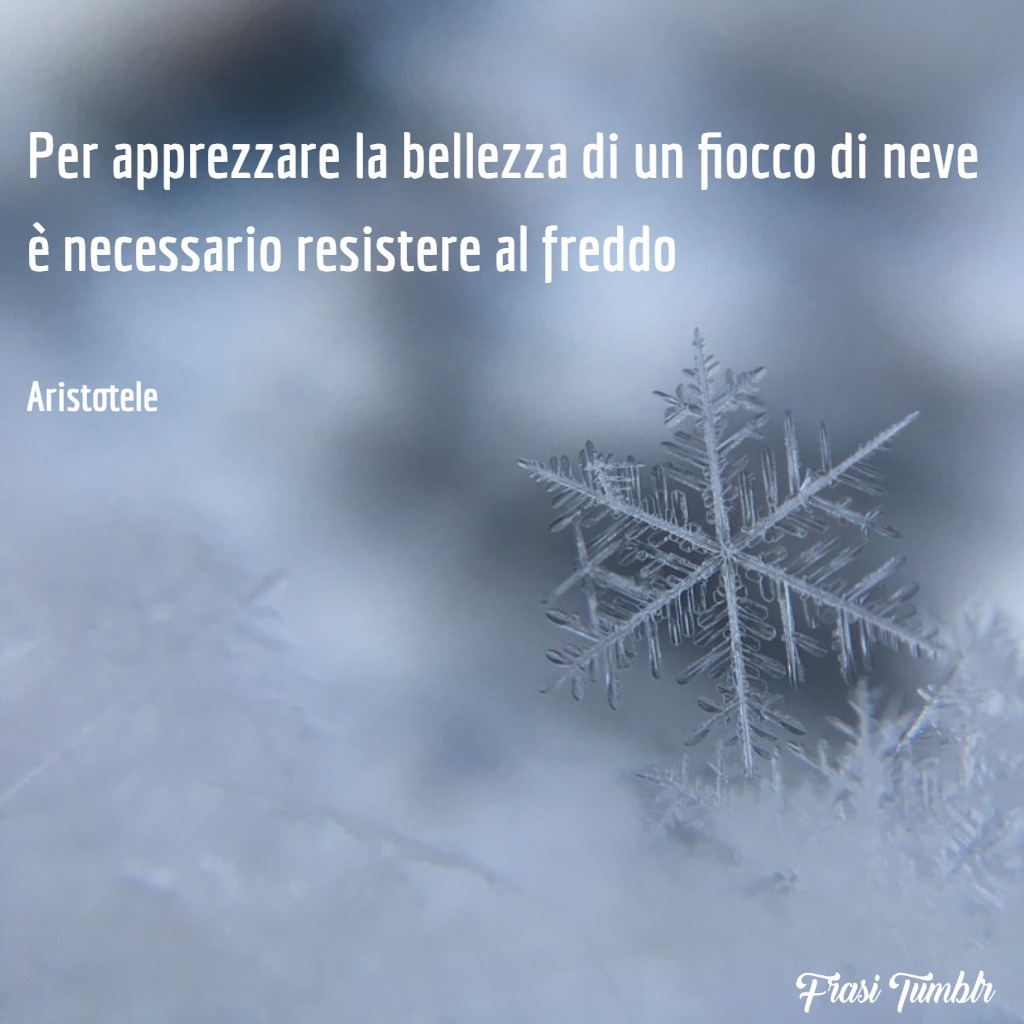 frasi-tumblr-instagram-facebook-whatsapp-bellezza-fiocco-neve-freddo