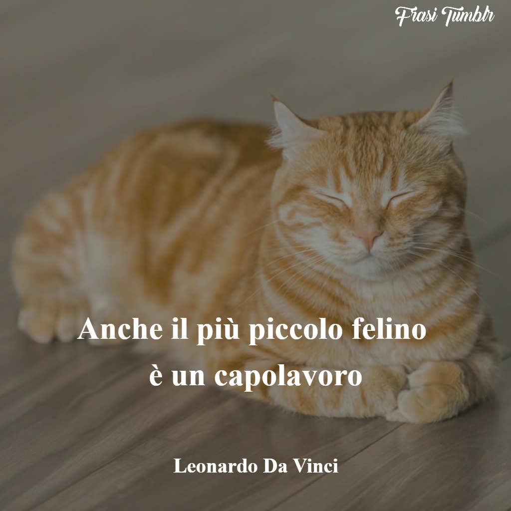 frasi-leonardo-da-vinci-piccolo-felino-capolavoro-1024x1024