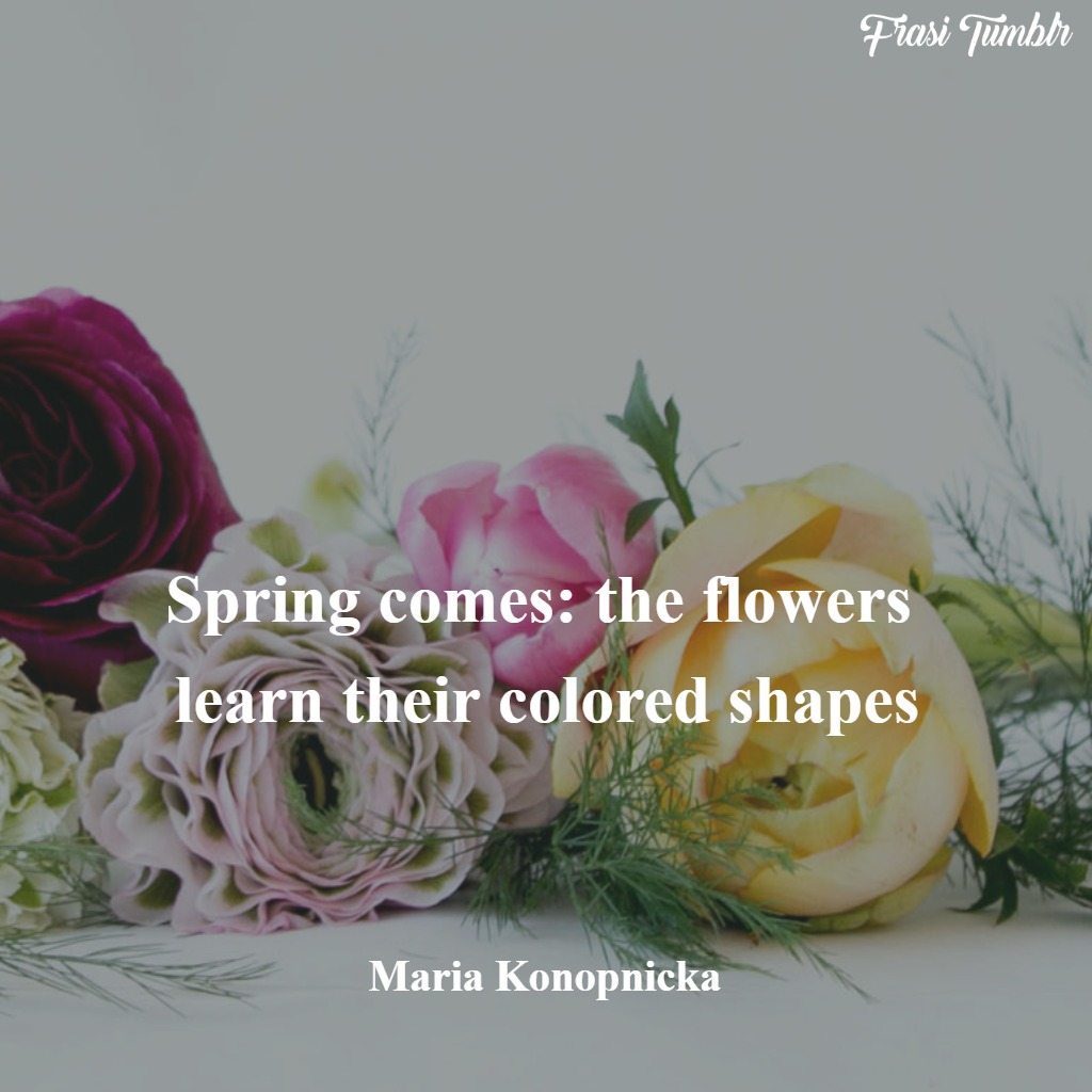 immagini-frasi-primavera-inglese-arriva-colori-fiori-1024x1024