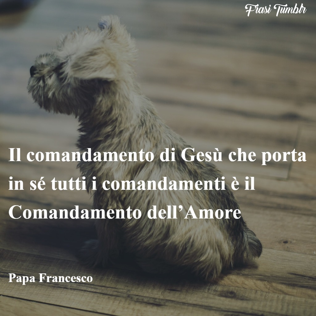 frasi-papa-francesco-amore-umiltà-coraggio-comandamento-amore