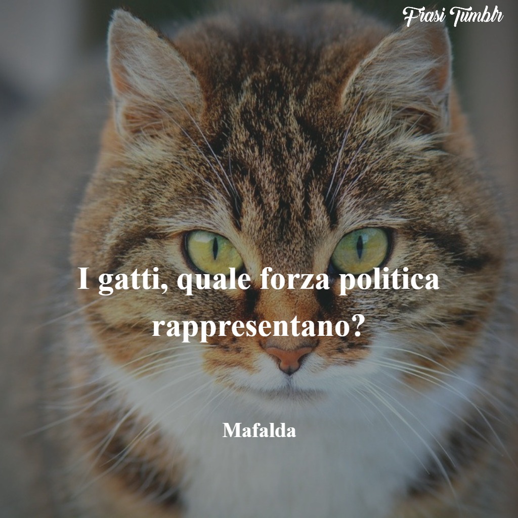 frasi-mafalda-gatti-politica