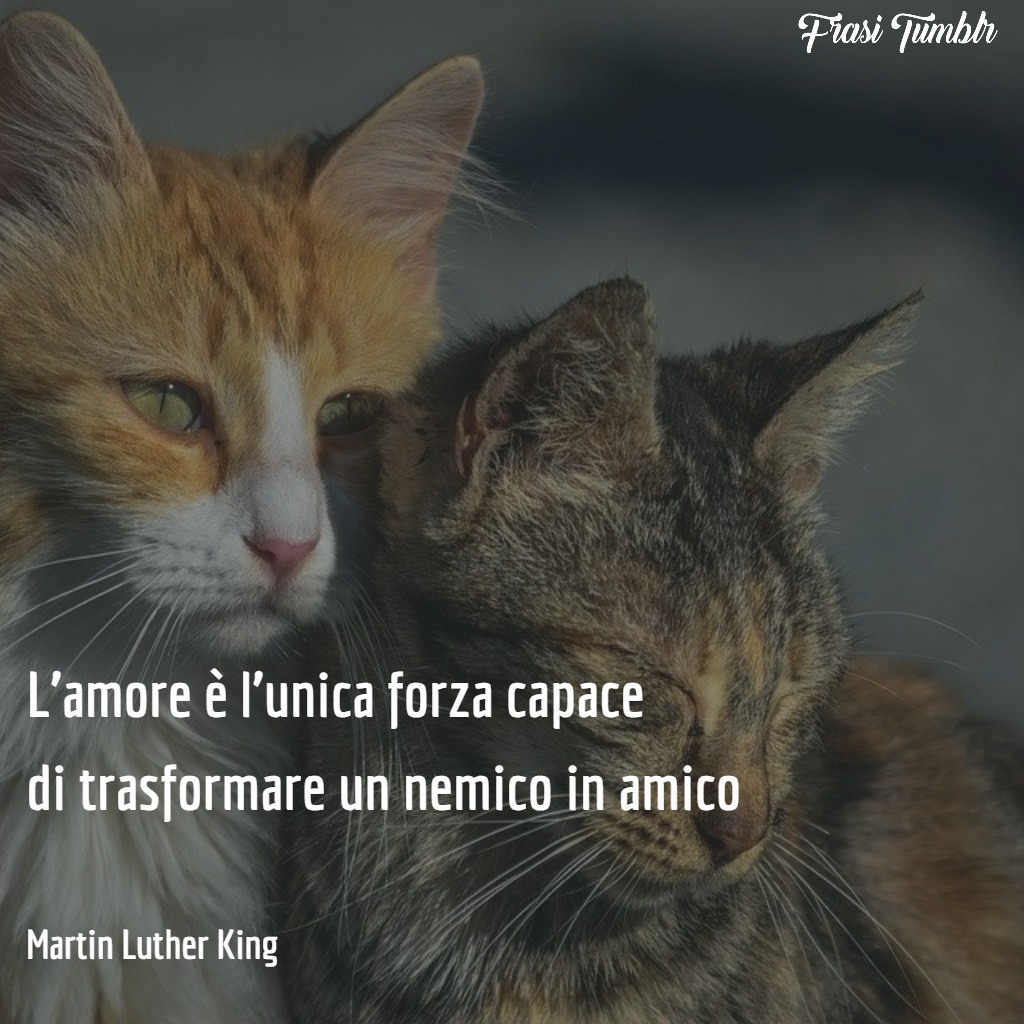 frasi-martin-luther-king-pace-non-violenza-amore-amico-nemico