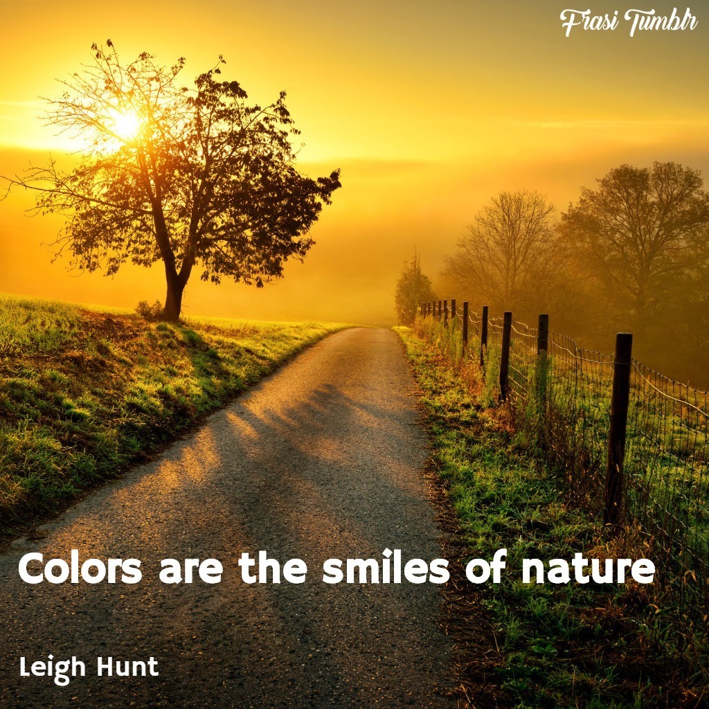 frasi-instagram-inglese-estate-colori-natura