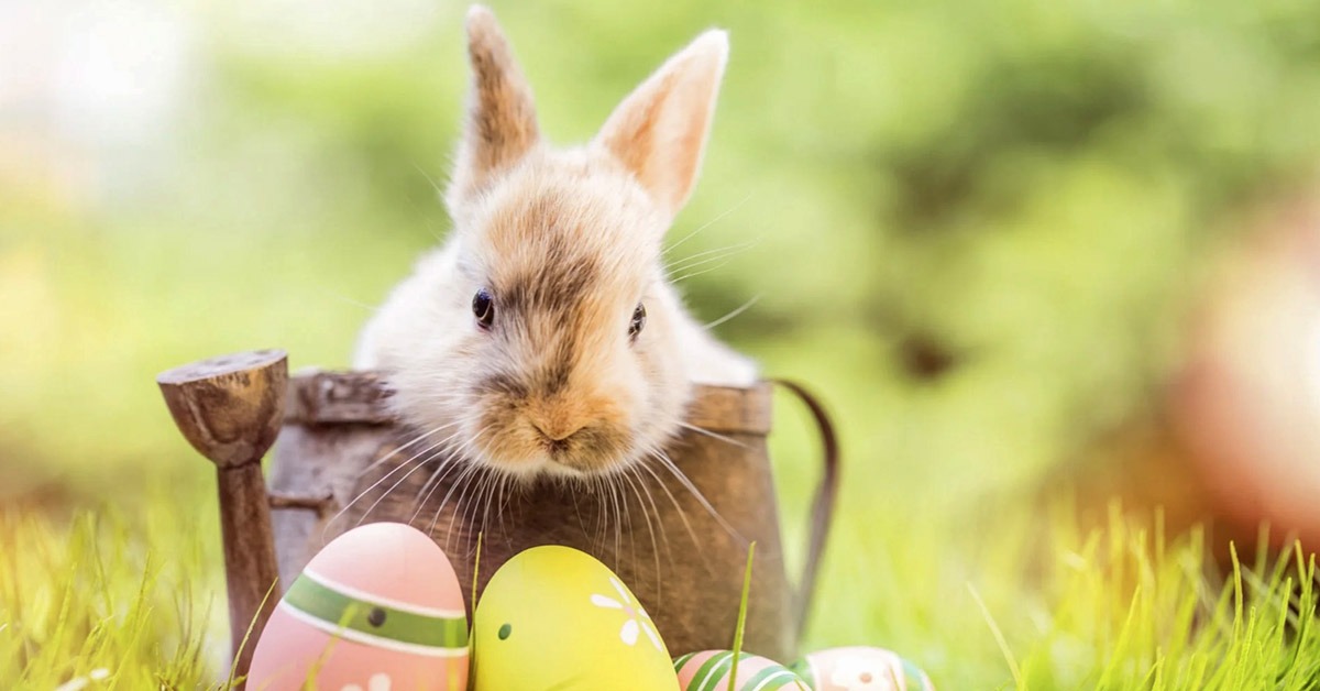 Frasissime Frasi Aforismi Citazioni E Proverbi con Immagini 