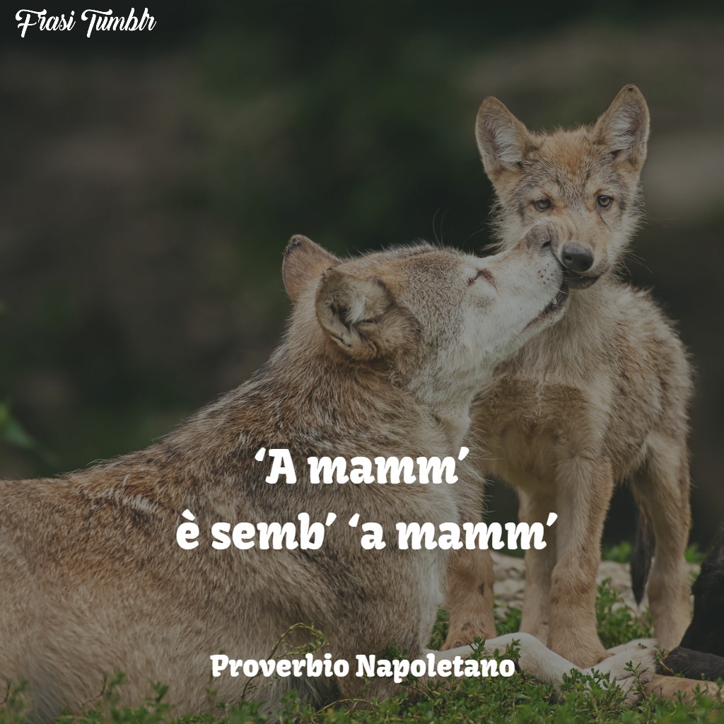 frasi aformismi proverbi mamma napoletano mamma sempre mamma