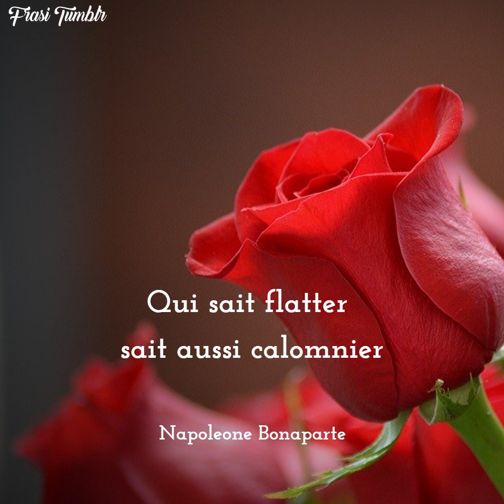 frasi napoleone bonaparte francese coraggio adulare calunniare