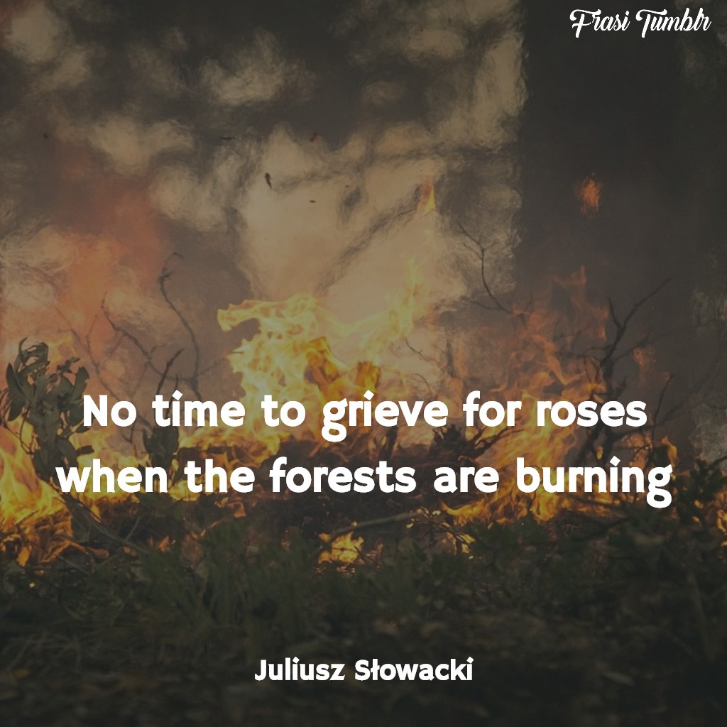 frasi rose inglese foresta brucia