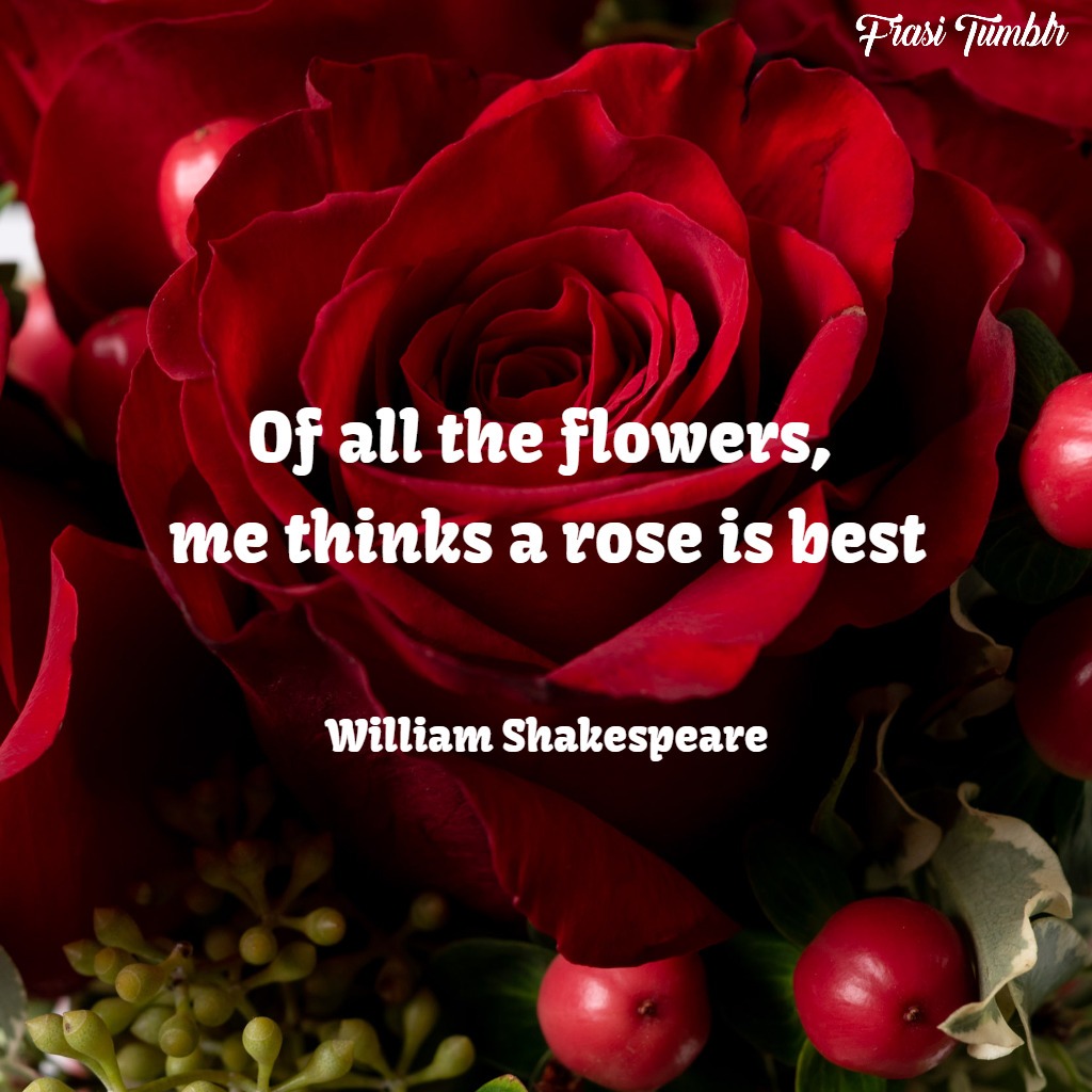 frasi rose inglese shakespeare fiore migliore