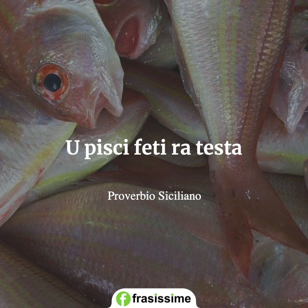 proverbi siciliani pesce puzza testa