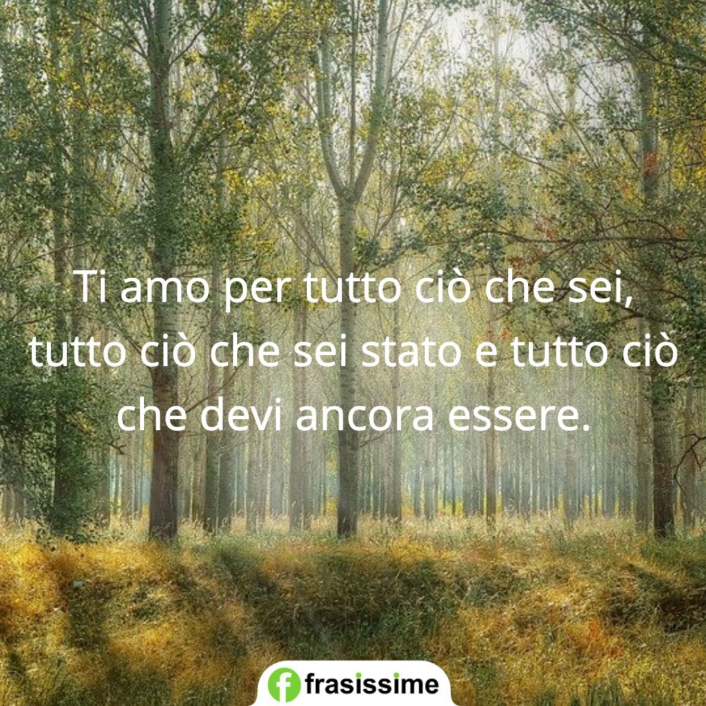 frasi per dire ti amo cio che sei stato essere