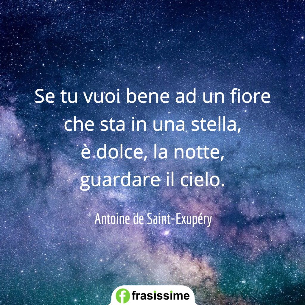 frasi sulle stelle fiore dolce notte saint exupery