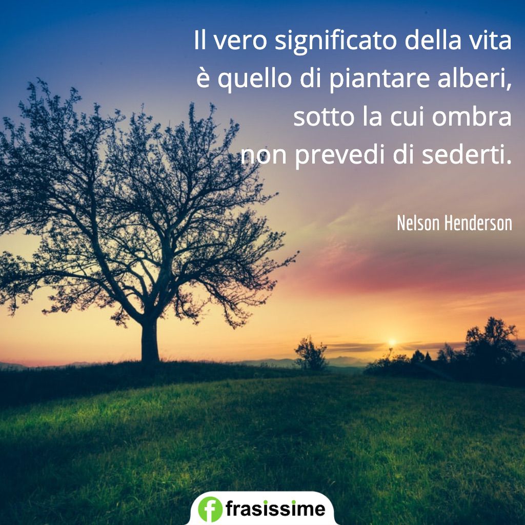 frasi altruismo bonta significato vita piantare alberi ombra sederti henderson