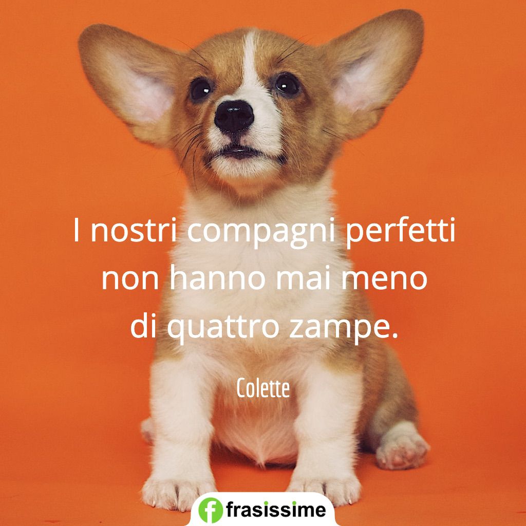 Frasi Sui Cani Da Tatuare D Amore Le 50 Piu Belle In Inglese E Italiano