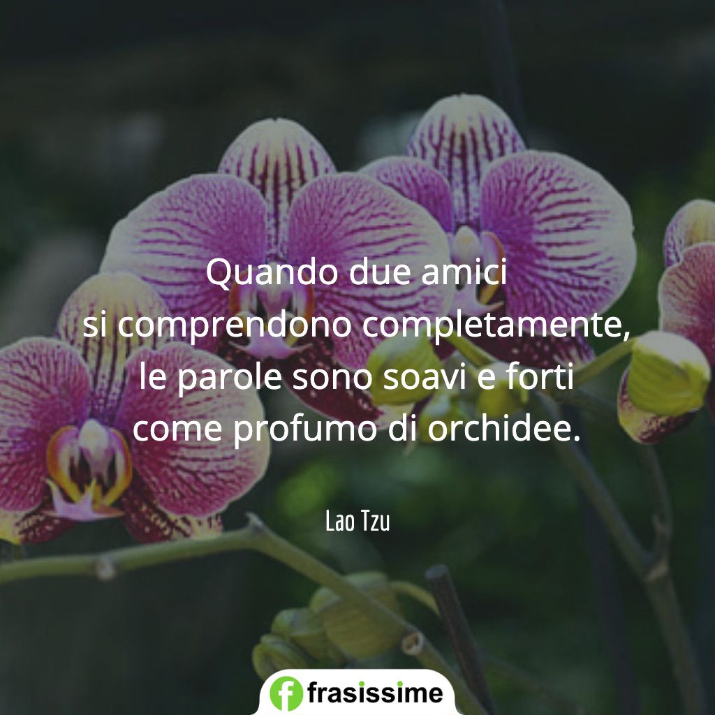 frasi sugli amici comprendono completamente profumo orchidee lao tzu