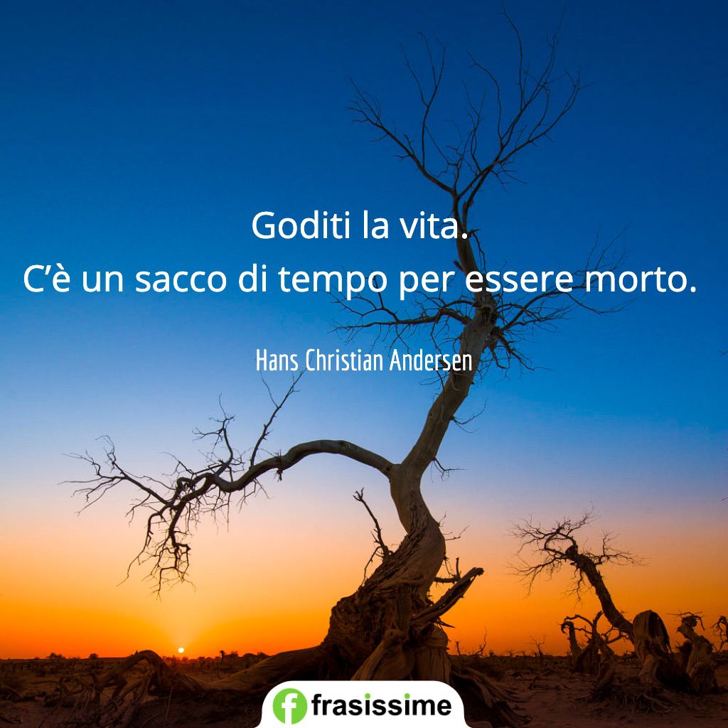 frasi problemi goditi vita tempo essere morto andersen